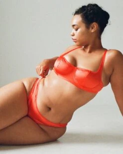 Araks: Gita Silk Underwire Bra - Burst