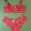 Clo: Fortuna Lace Demi Underwire Bra - Chili Pepper 1 Clo: Fortuna Lace Demi Underwire Bra - Chili Pepper -Azaleas Nyc Store IMG 0669