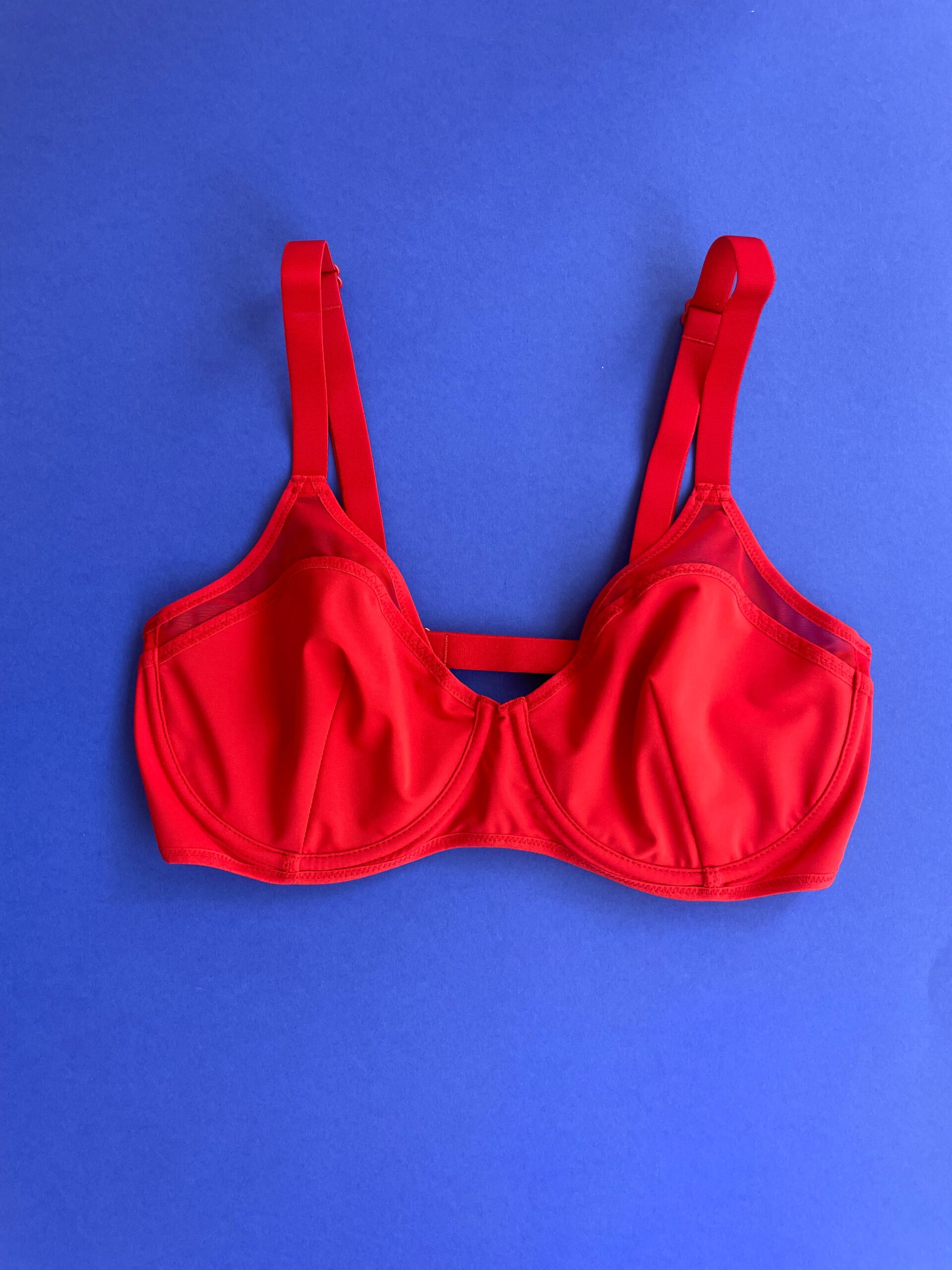 La Fille d'O: Georges Balconnet Bikini Top - Red La Fille D'O: Georges Balconnet Bikini Top - Red -Azaleas Nyc Store IMG 2363 scaled
