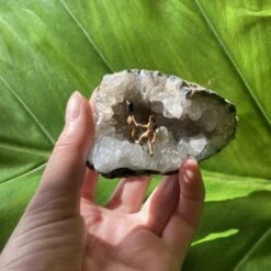 Chaparral : Love Caves - Multi