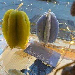 Azaleas: Gift Card -Azaleas Nyc Store IMG 4014 2149x2149 10dc21b4 d28b 4a6f 92fc 24c7e87e4272