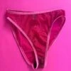 Bully Boy: Lee Mesh Panty - Magenta -Azaleas Nyc Store IMG 9265