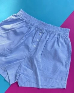 Non Private: Boxer Shorts - Blue Stripe -Azaleas Nyc Store IMG 9760