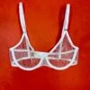 Yasmine Eslami: Jeanne Mesh Underwire Bra - Blanc 2 Yasmine Eslami: Jeanne Mesh Underwire Bra - Blanc -Azaleas Nyc Store fullsizeoutput 178
